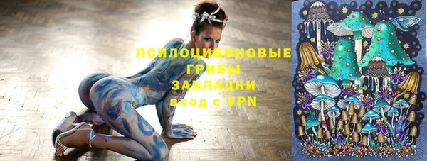 PSILOCYBIN Абаза