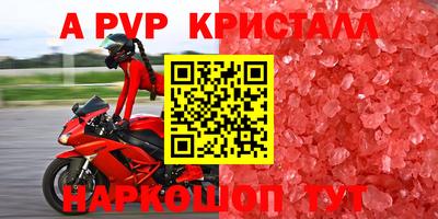 индика Гусев