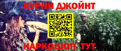 индика Гусиноозёрск
