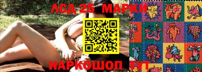 индика Гусев