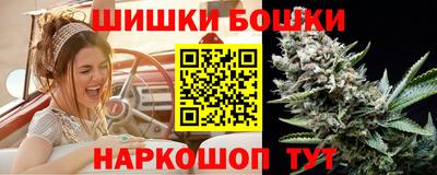 индика Гусиноозёрск