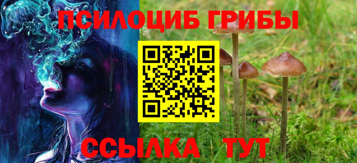 Галлюциногенные грибы мухоморы  Вход с VPN  Туапсе  Псилоцибиновые грибы прущие грибы 